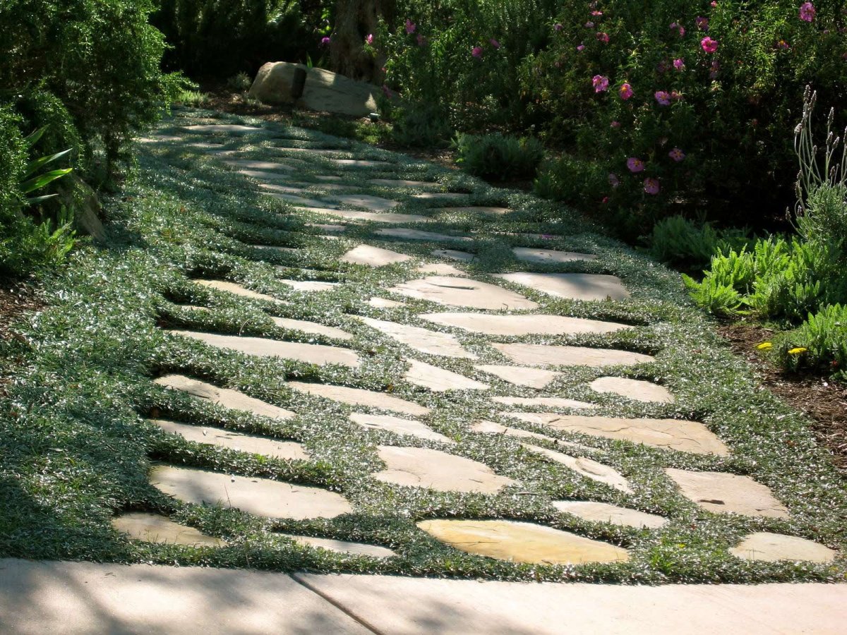 Дорожка в сад