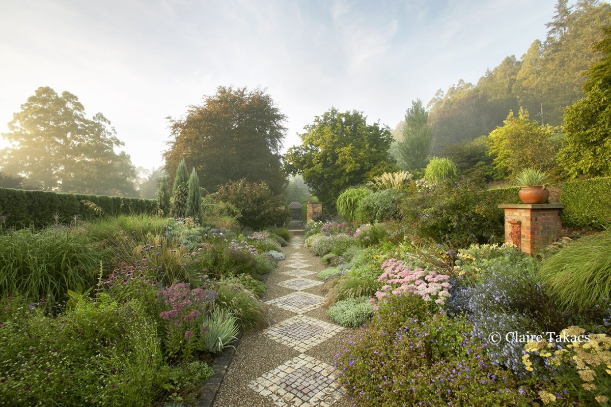 Дорожки в заросшем саду