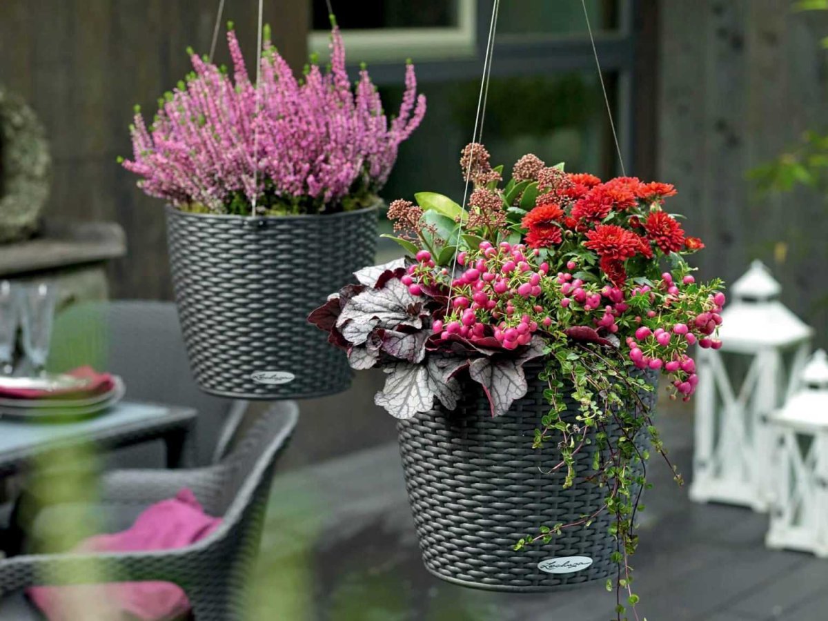 Цветы в кашпо