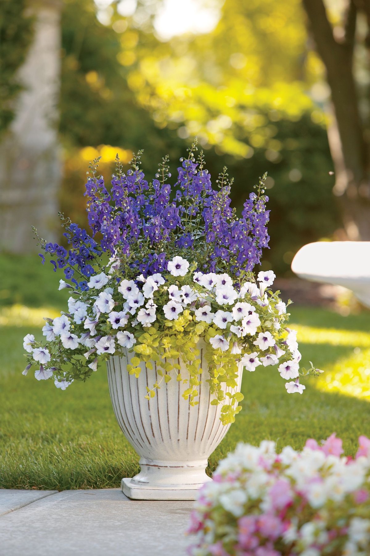 Композиция цветочный сад