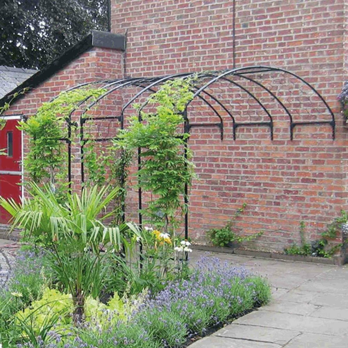 Полуарка Садовая для винограда