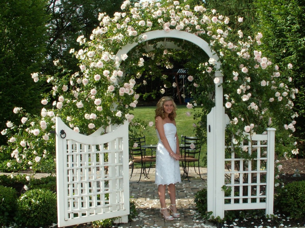 Пергола арка летний сад