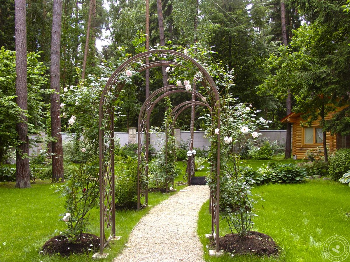 Пергола Берсо