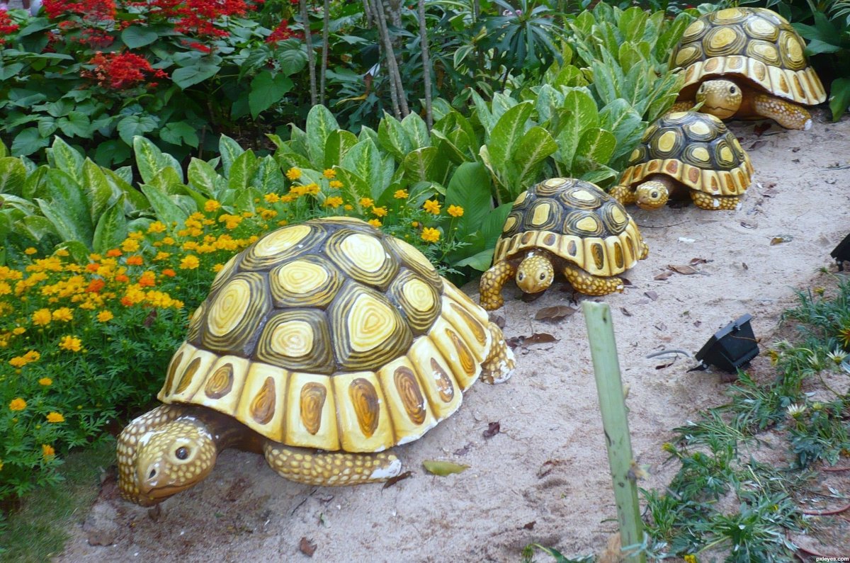 Декор для сада и огорода