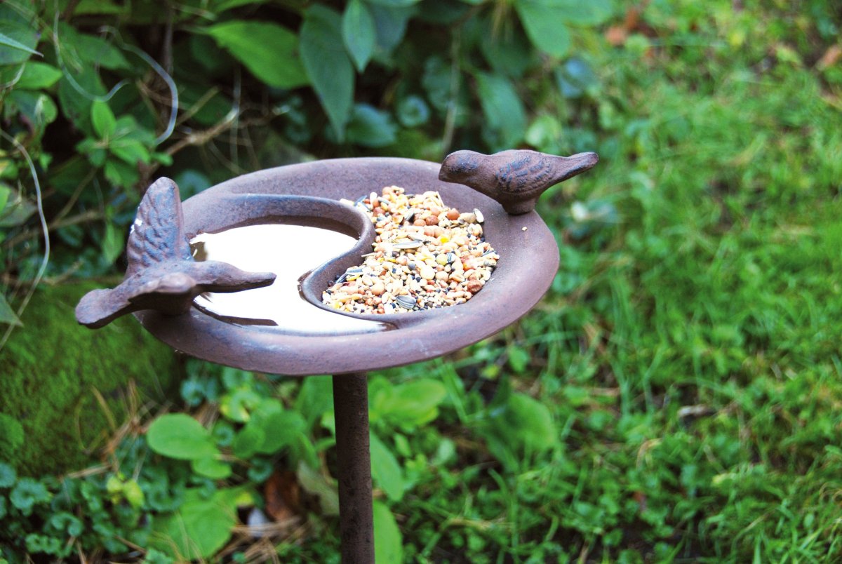 Поилка для птиц и Садовая кормушка для птиц