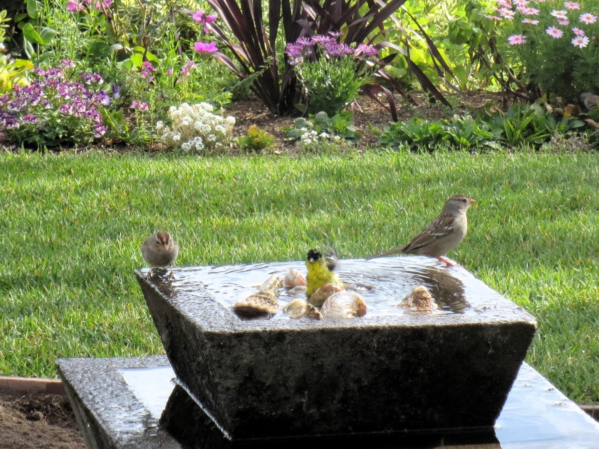 Фонтан для птиц в саду
