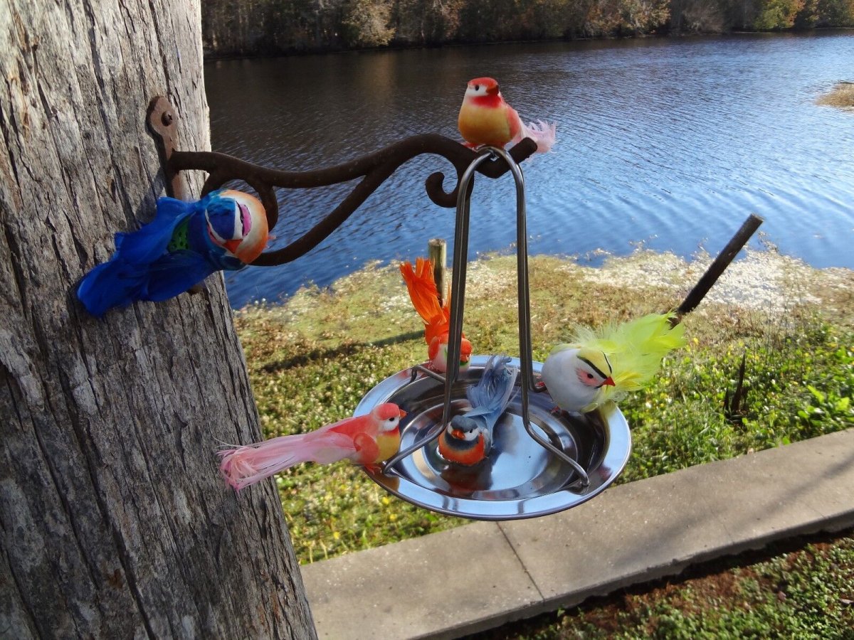 Купальня для птиц