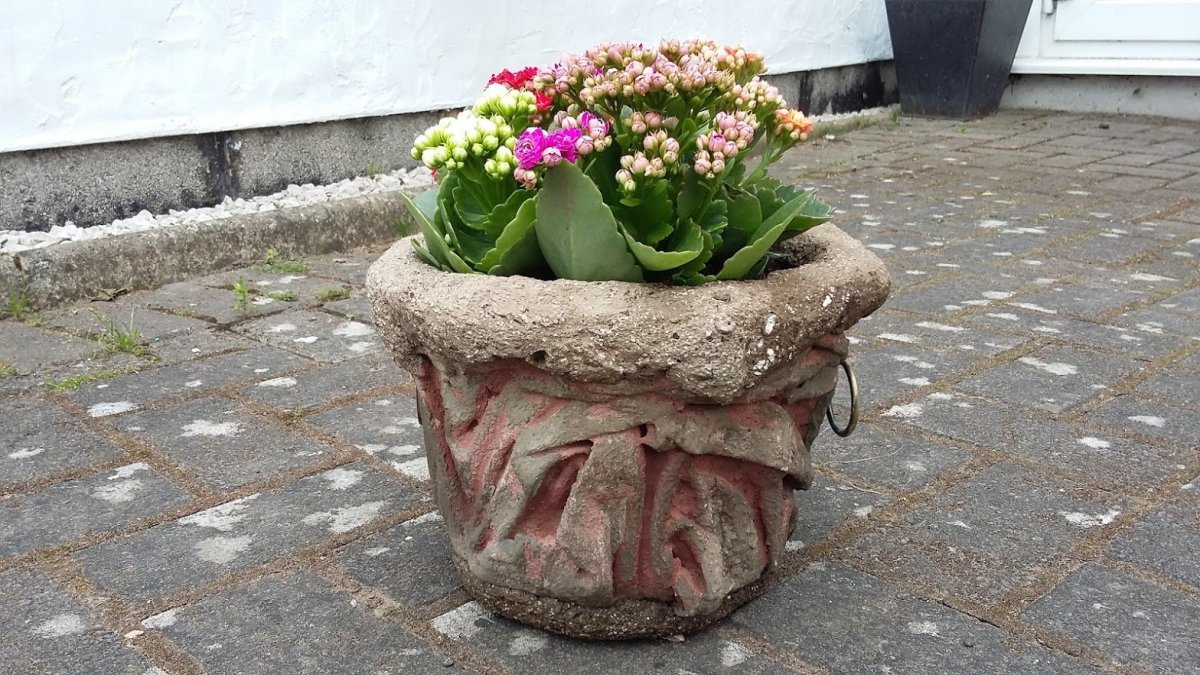 Вазоны для цветов из цемента