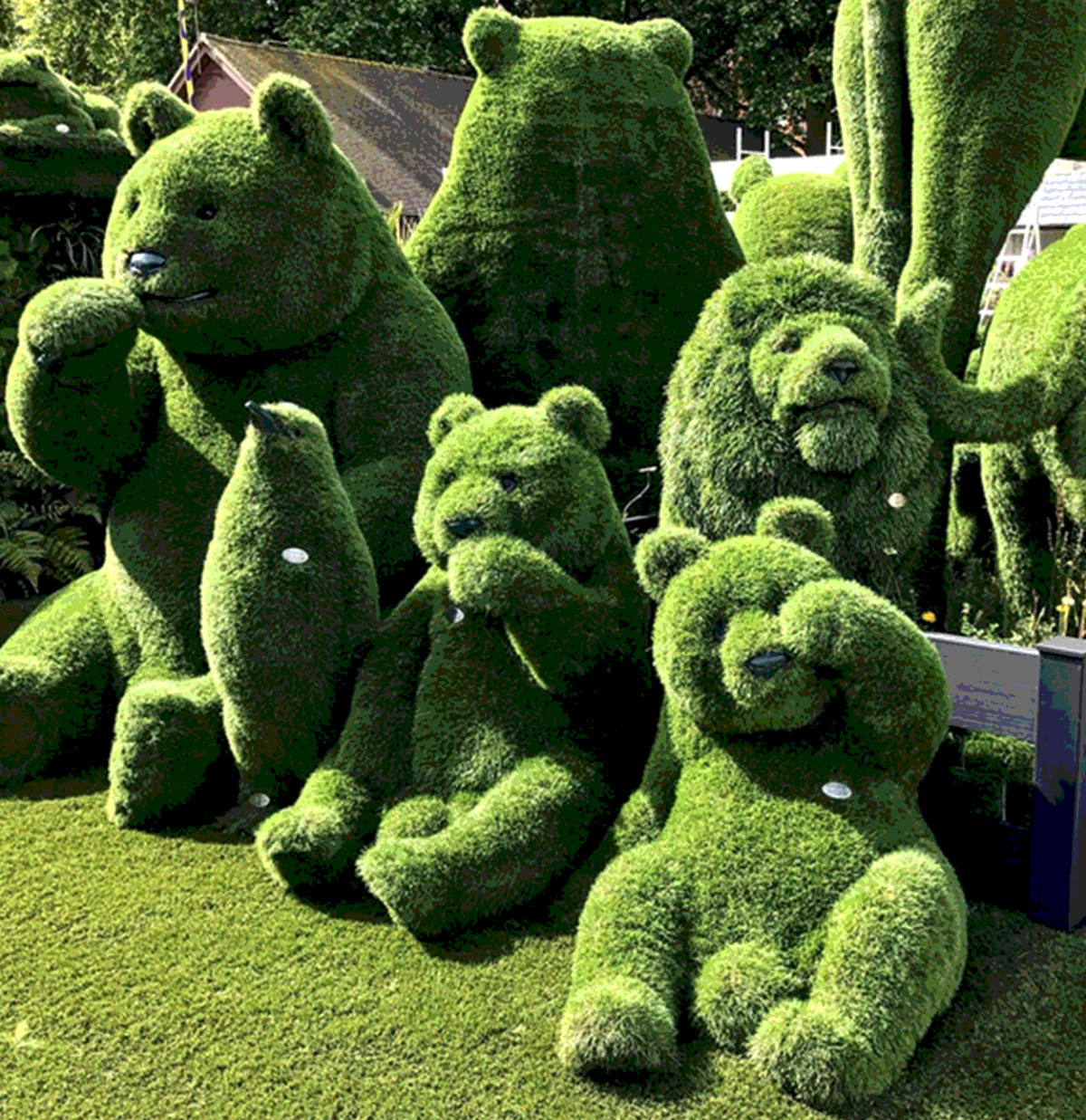 Фигурная стрижка деревьев" Генриха Бельца