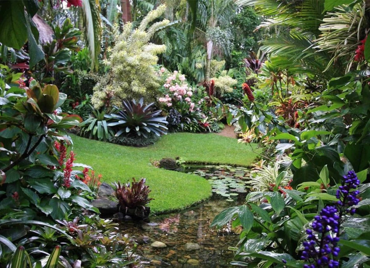 Красивый тропический сад