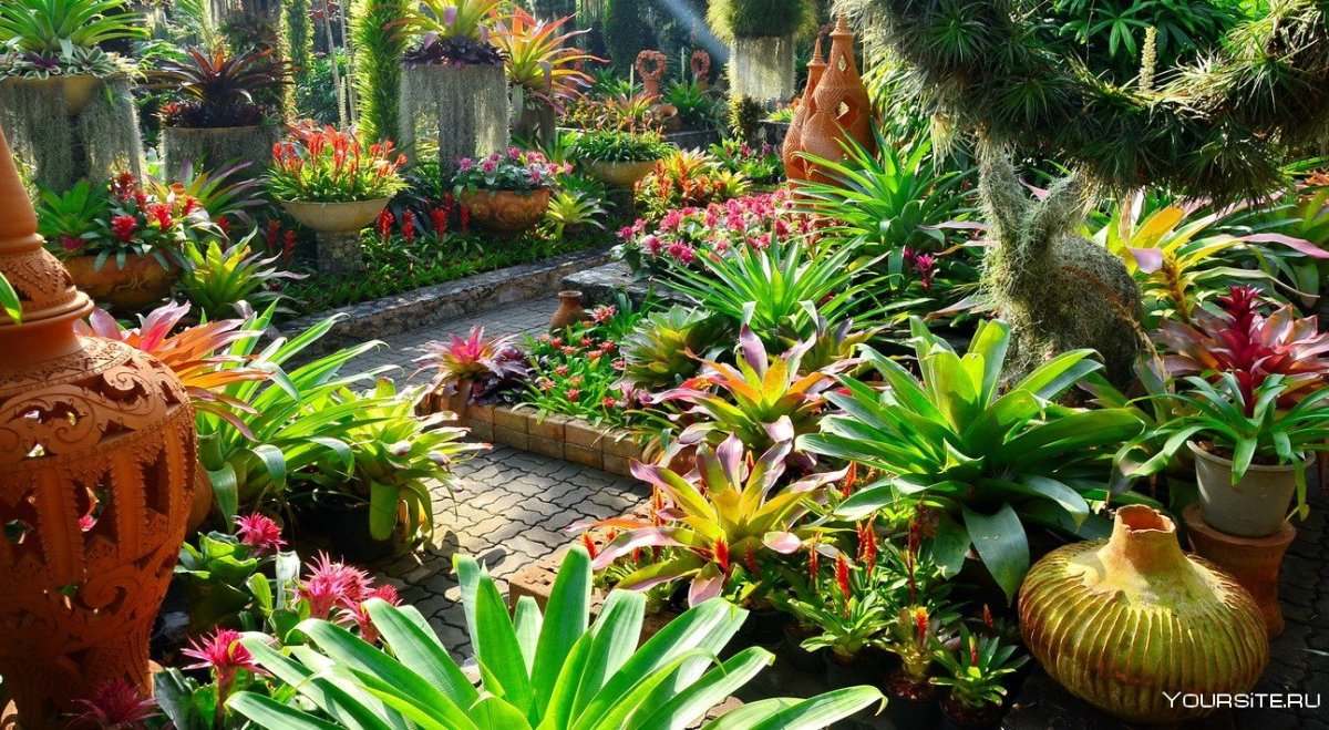 Тропический парк Нонг Нуч Таиланд