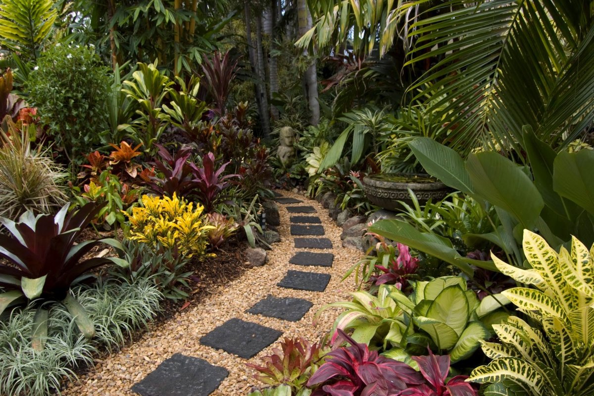 Стиль Африканский в ландшафте