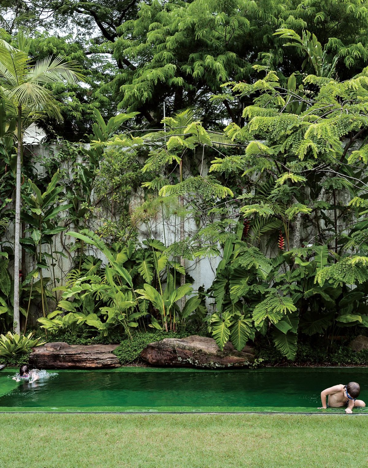 Тропический сад