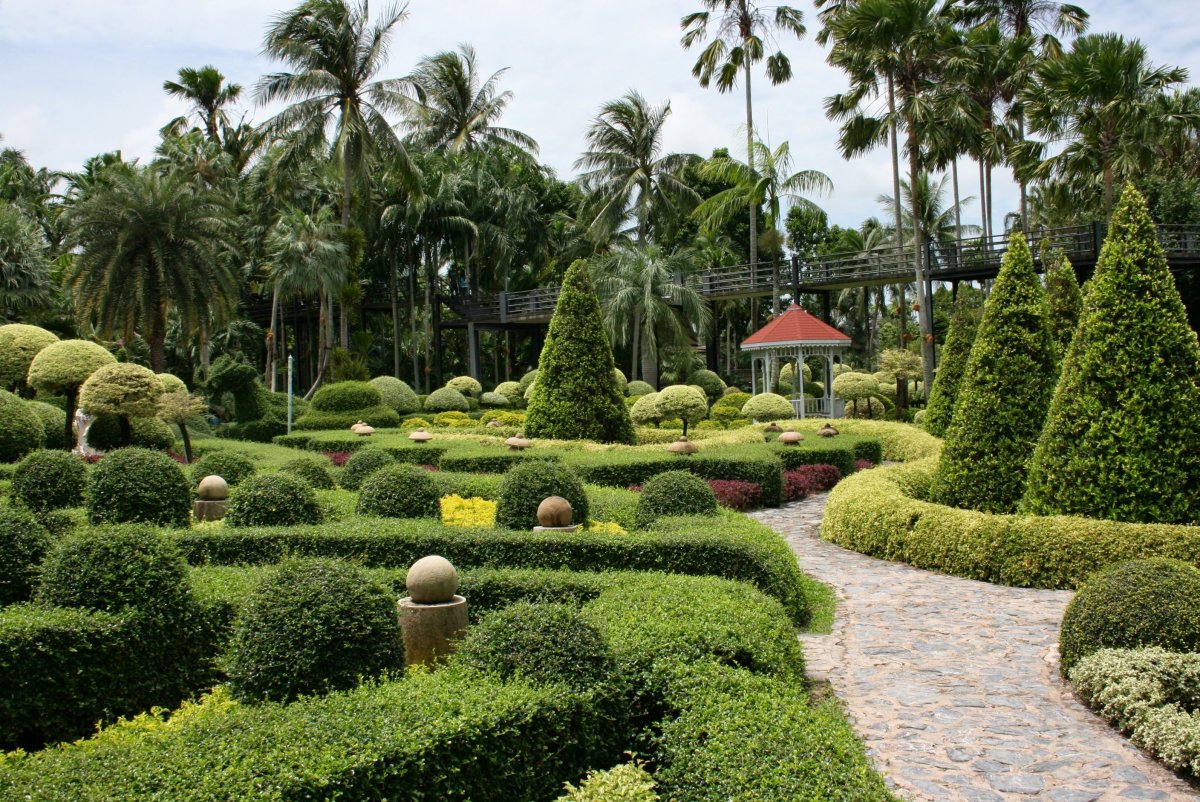 Мой тропический сад