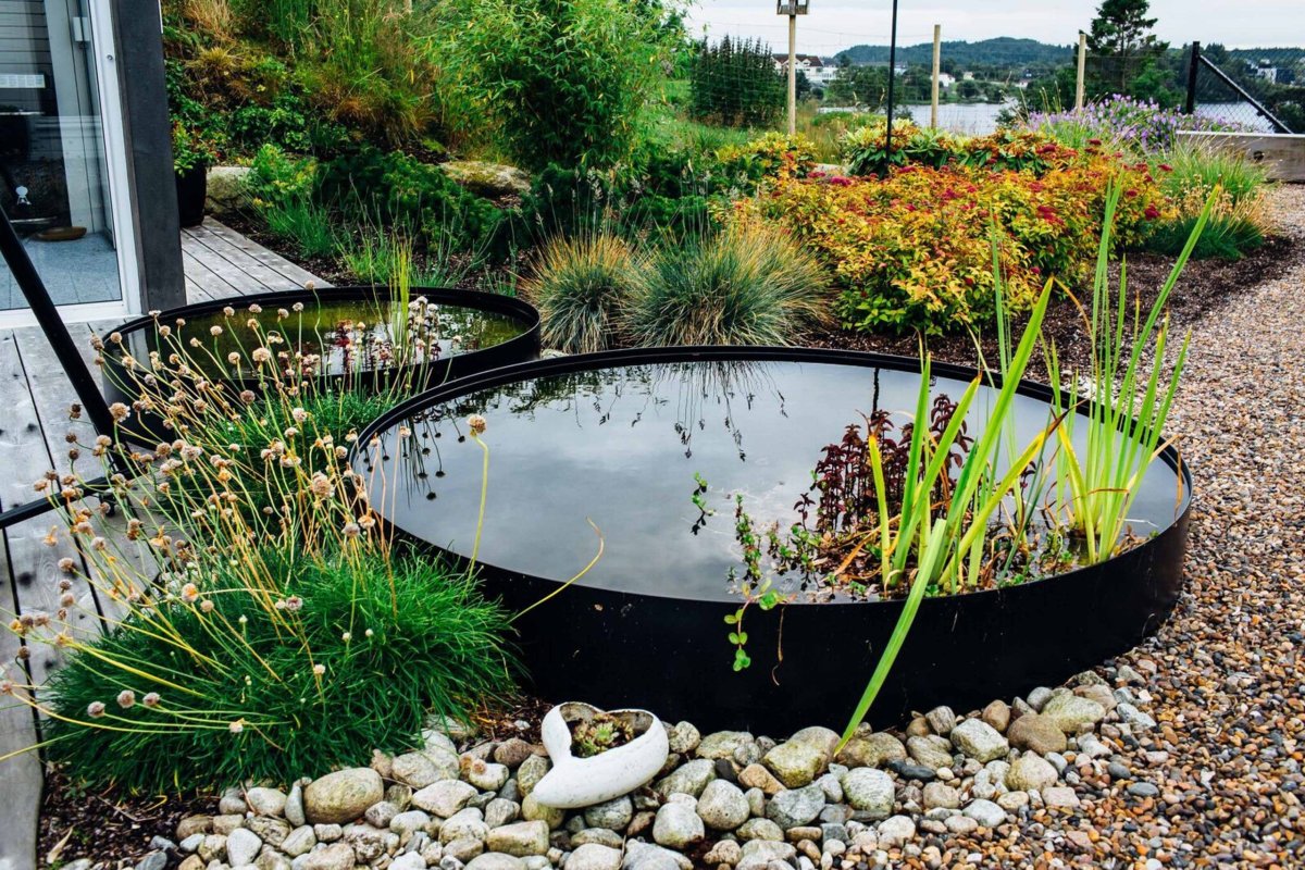 Водные чаши в ландшафте