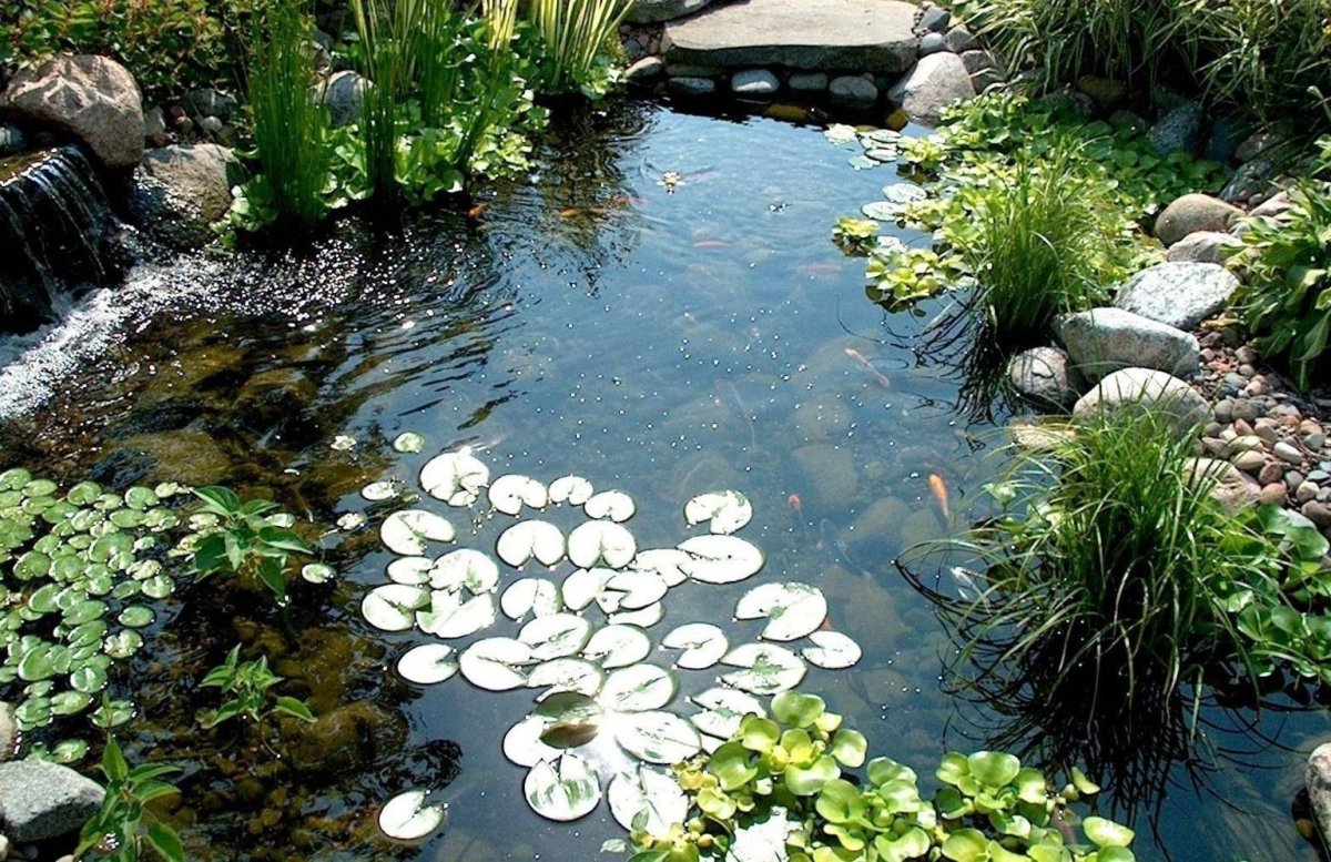 Маленький пруд в саду