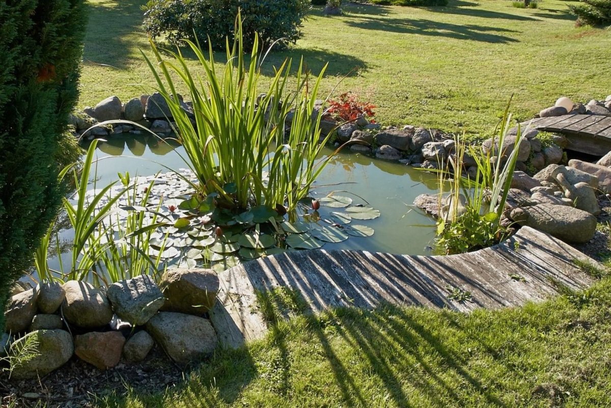 Разные по стилю водоемы