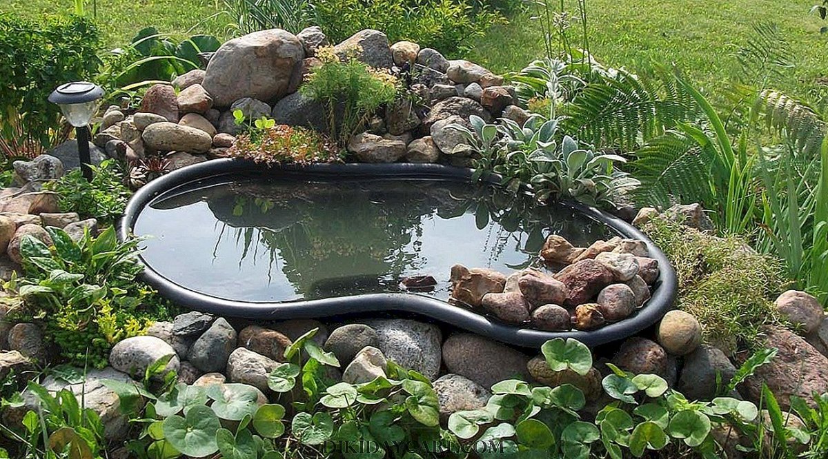 Альпийская горка с биоплато