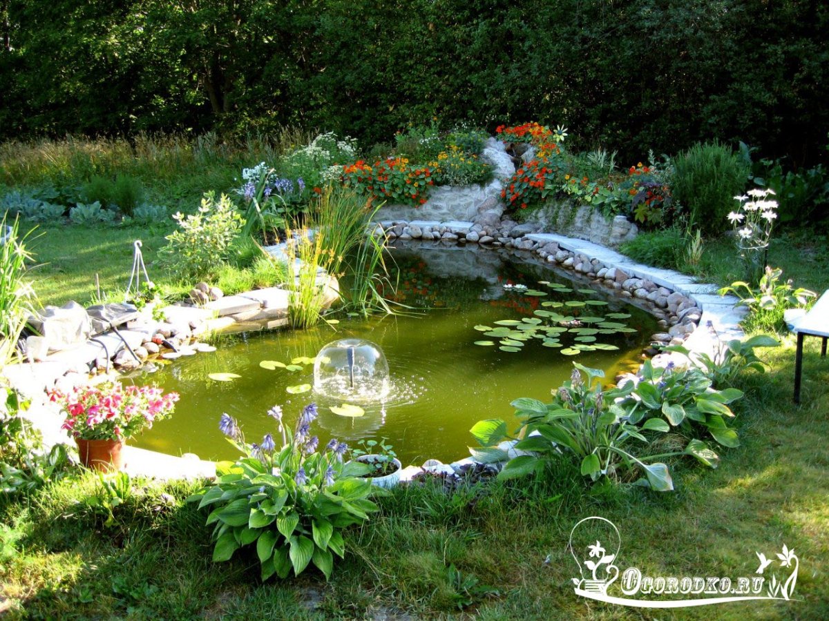 Пруд на даче
