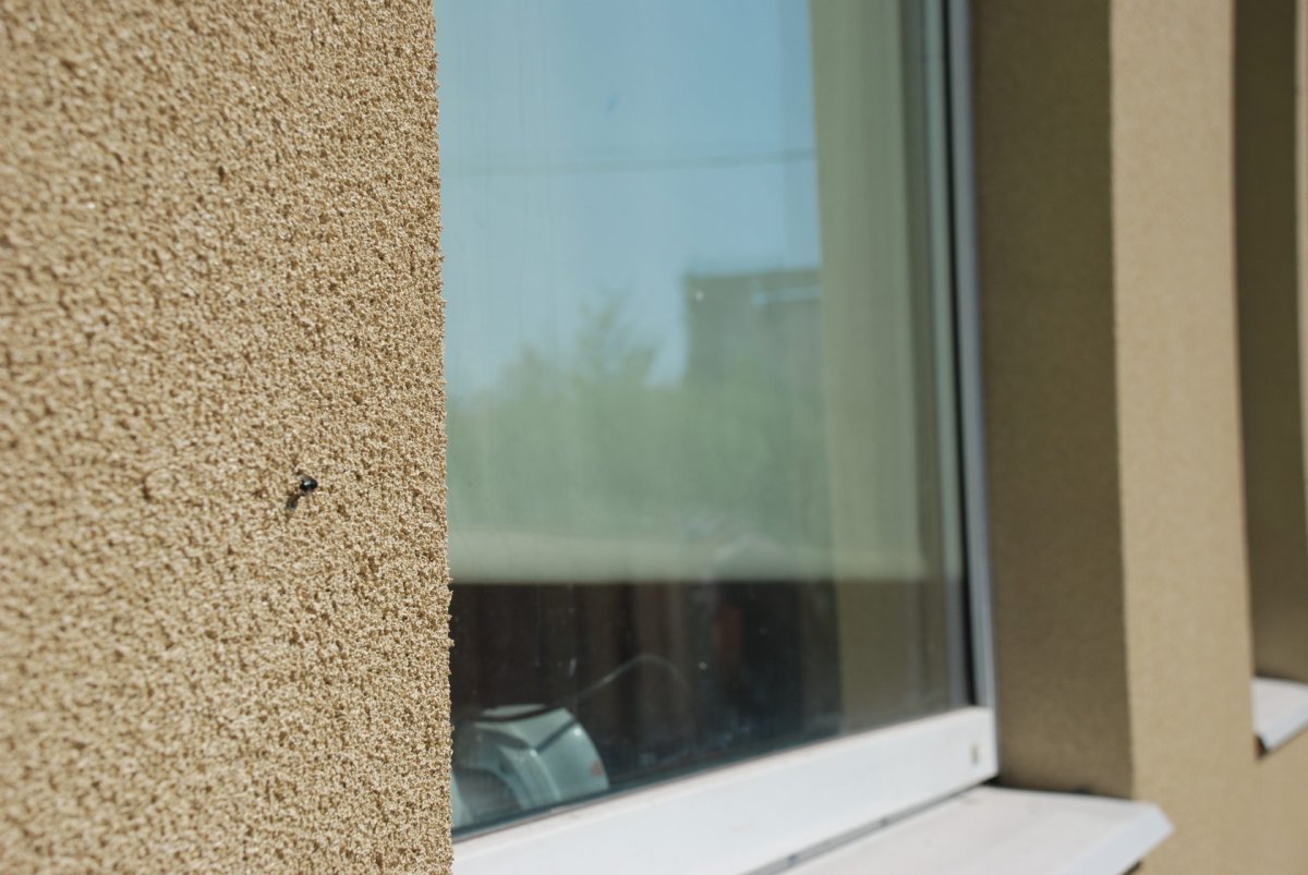 Пробковая штукатурка для фасадов