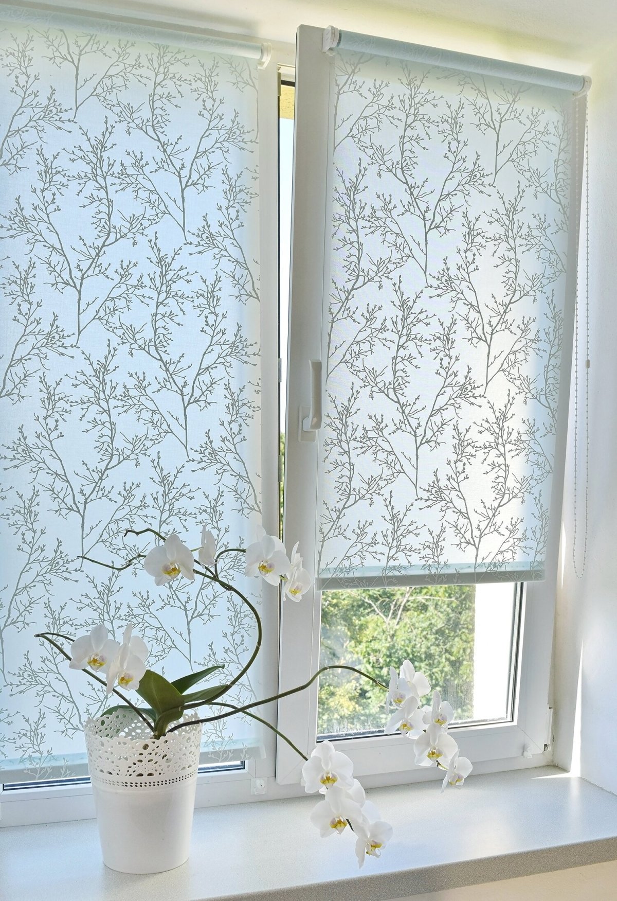 Рулонные шторы Дельфа