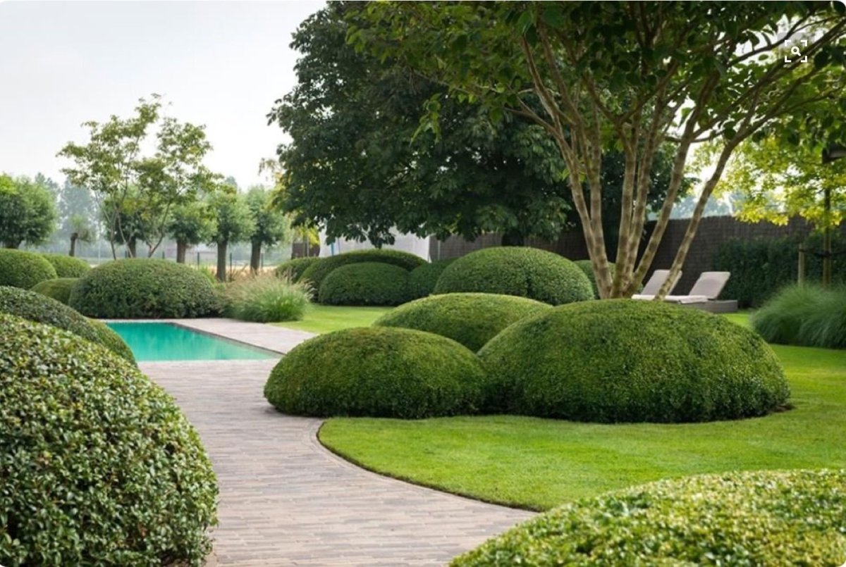 Ian Kitson ландшафтный дизайнер