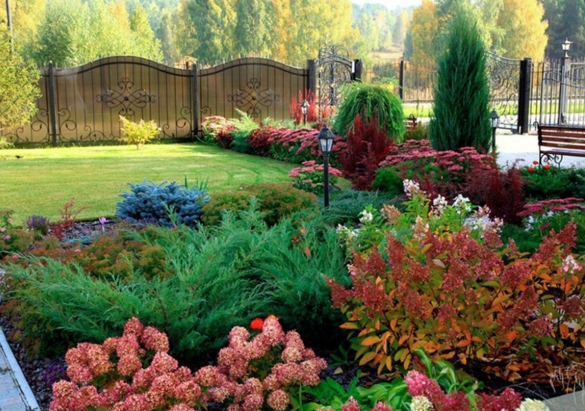 Миксбордер туя Барбарис