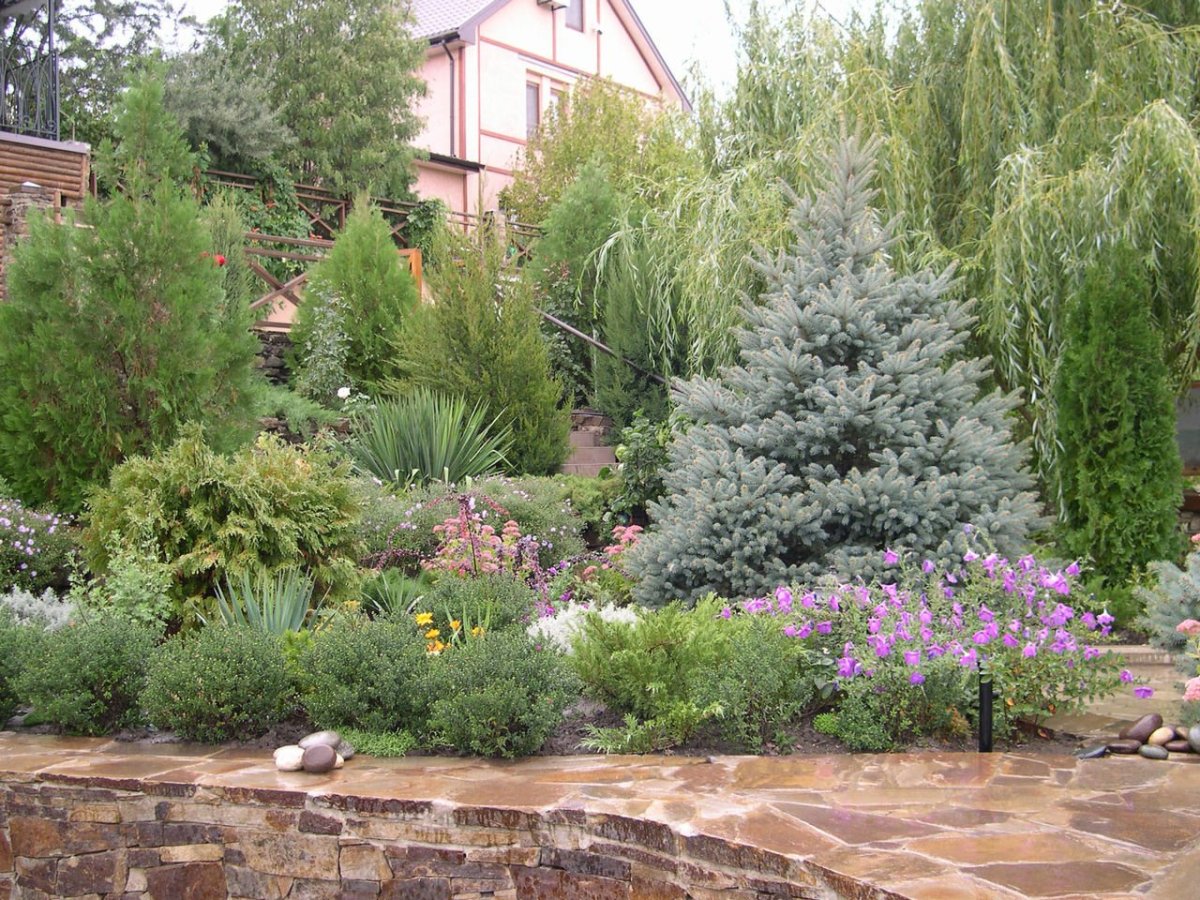 Хвойная композиция с елью Хупси