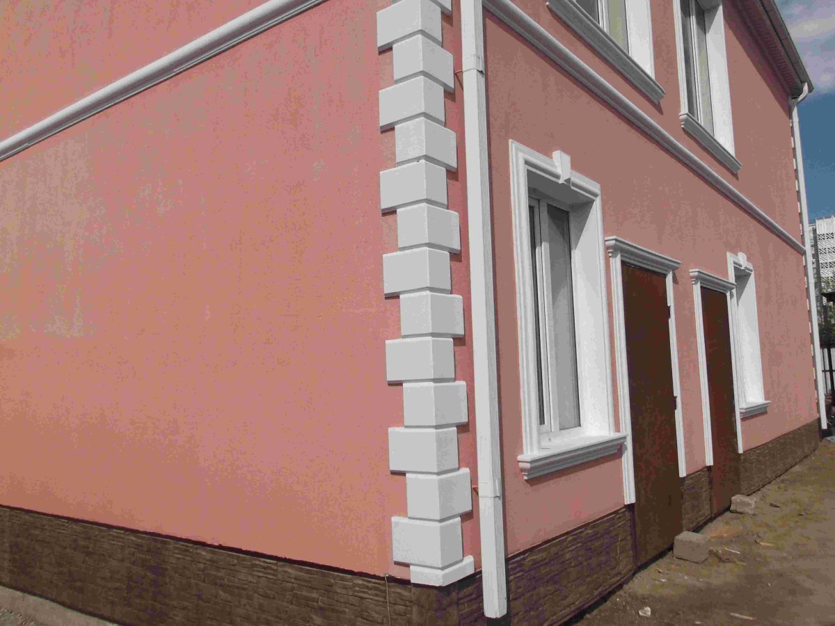 Фасад короед