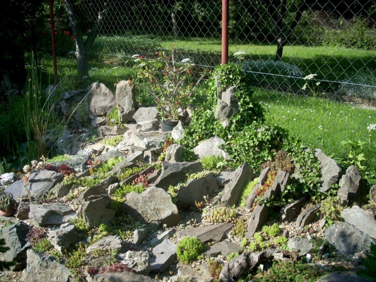 Чешская скала горка Альпийская