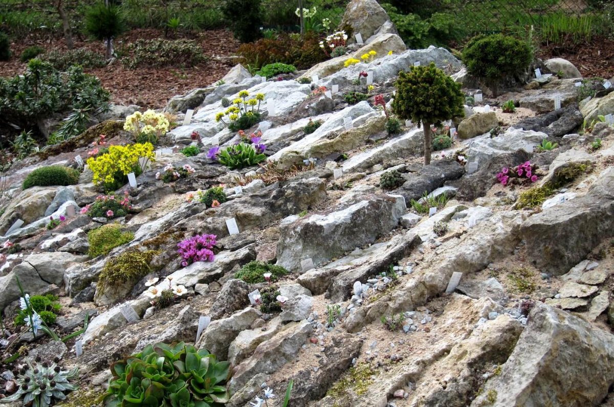 Чешская скала горка Альпийская