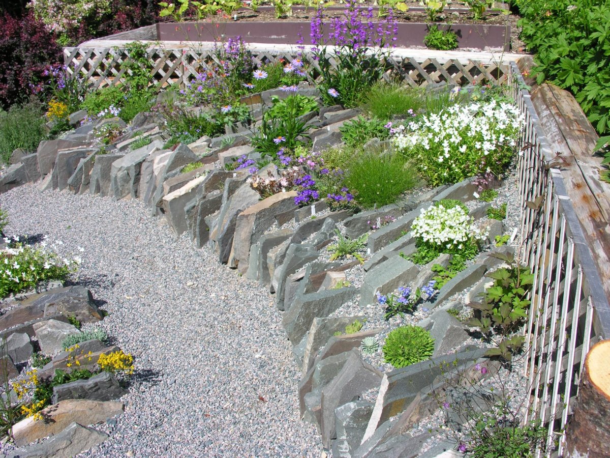 Рокарий чешская скалка