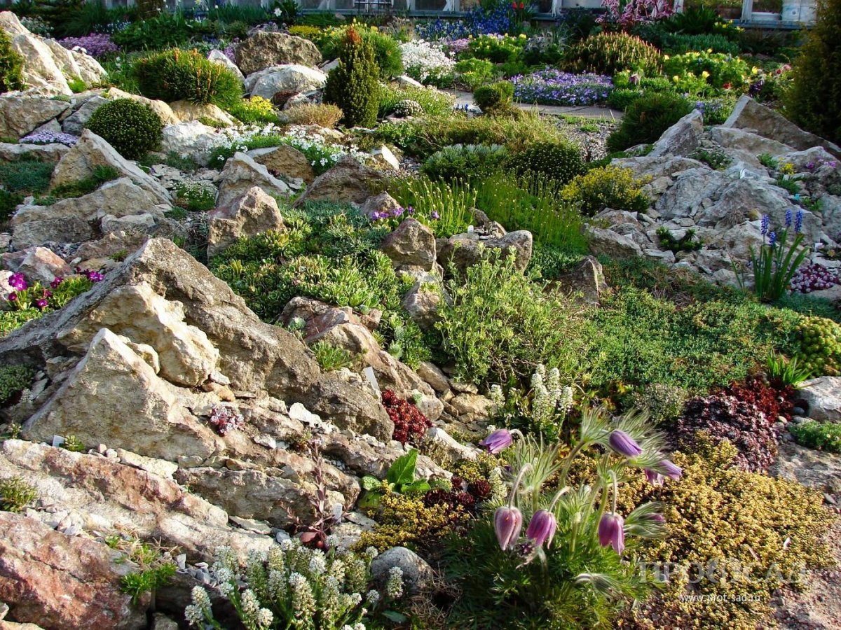 Чешская скалка в ландшафте сада