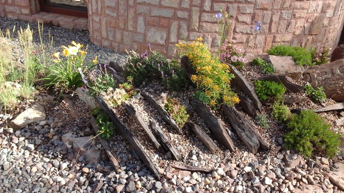 Тарасов Евгений Альпийская горка