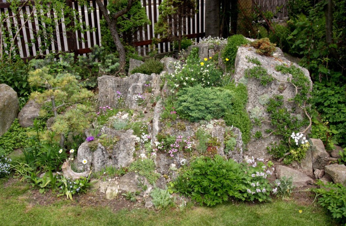 Чешская скалка альпинарий