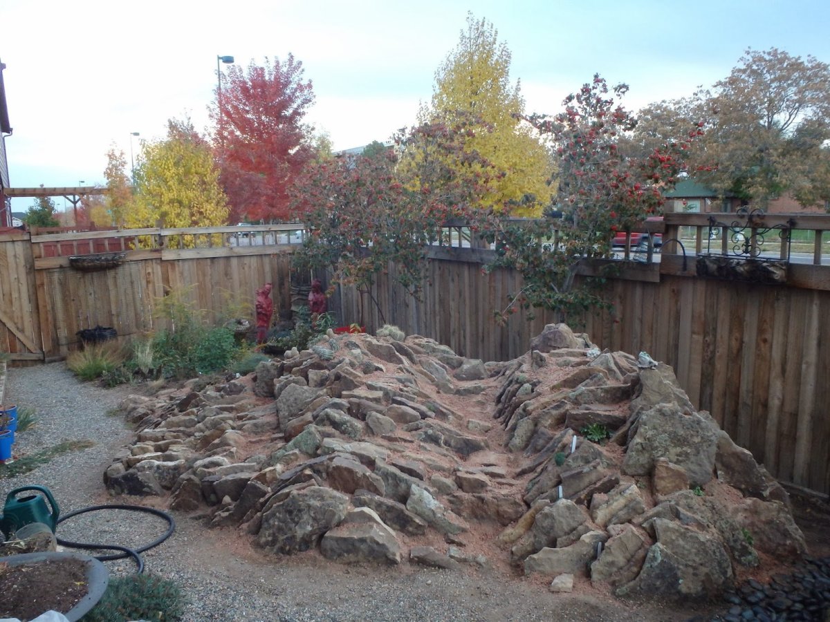 Чешская скалка в ландшафтном дизайне фото