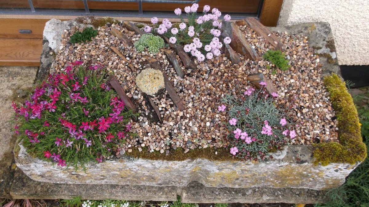 Контейнерный альпинарий