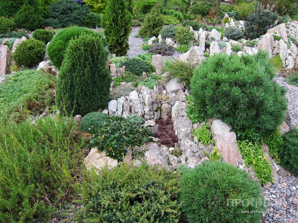 Евгений Тарасов Альпийские горки