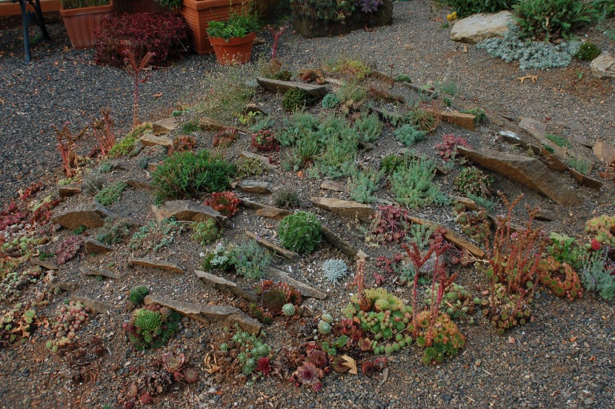 Чешская Альпийская горка