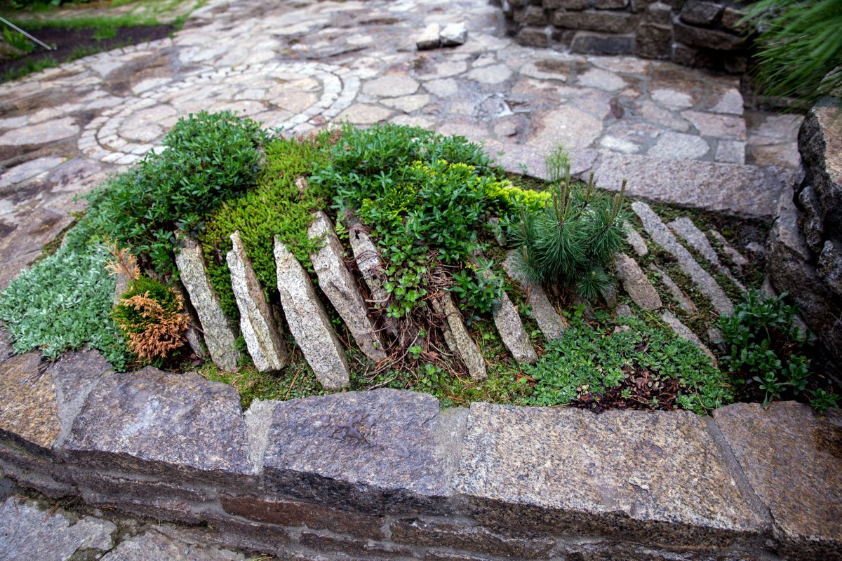 Альпийская горка скальный Утес