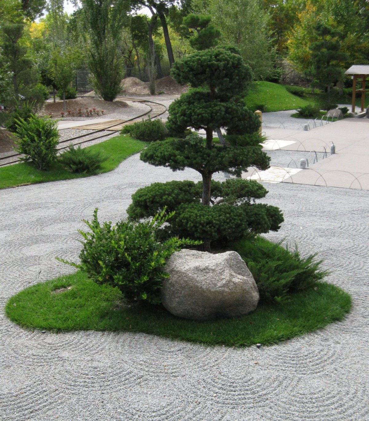 Рокарий с ниваки