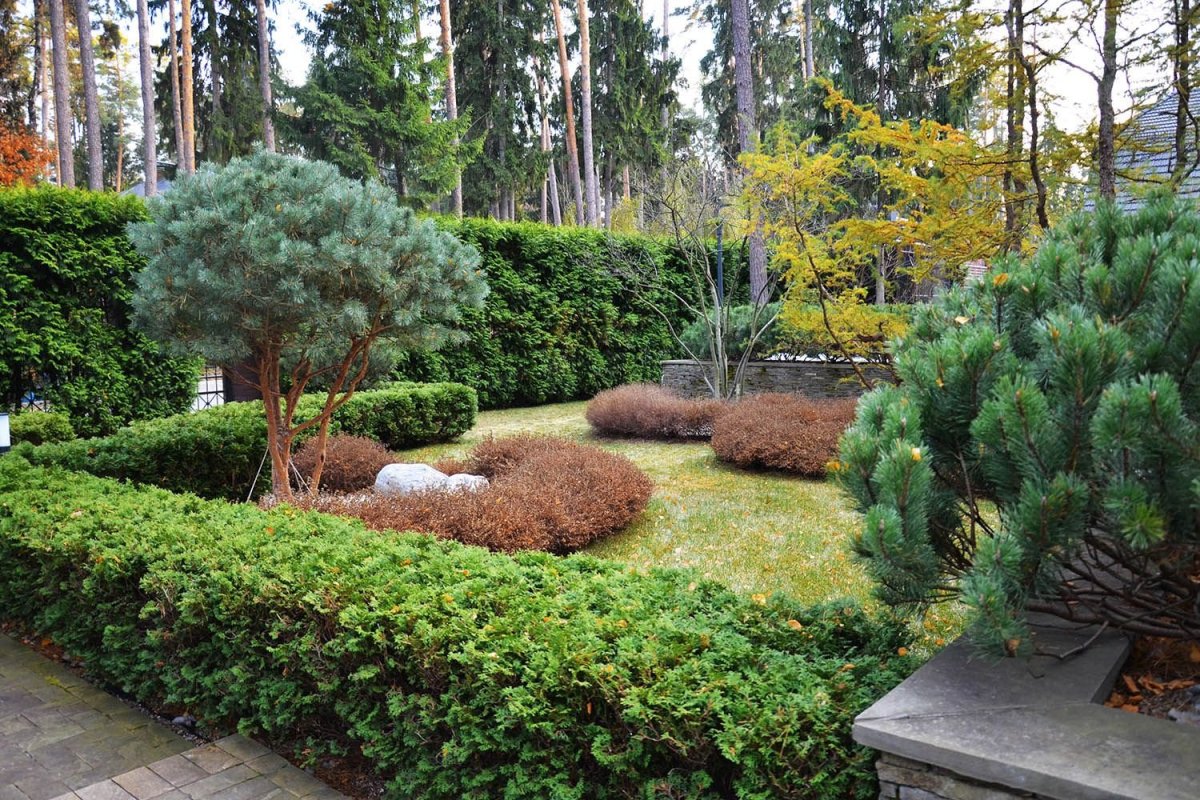 Ландшафт в Сосновом Бору