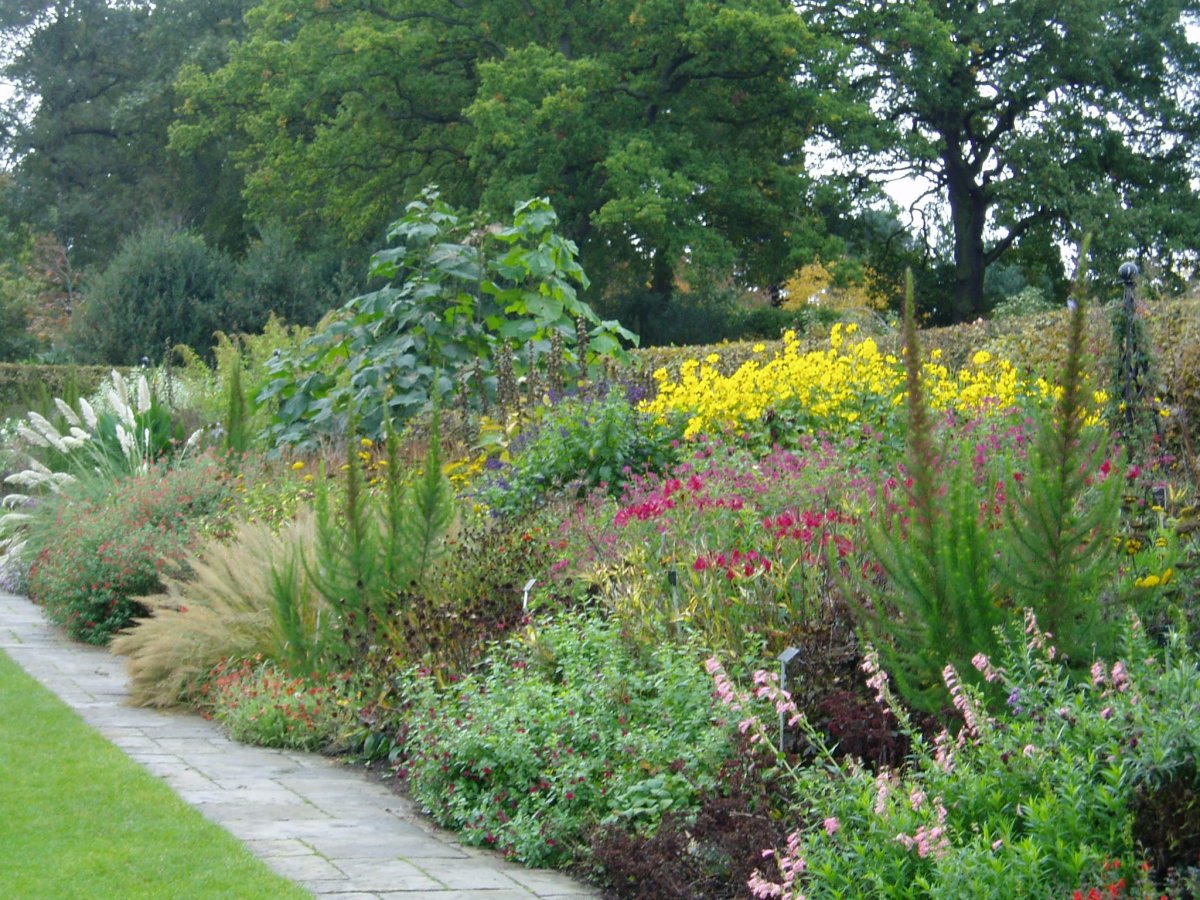 Миксбордер монохром