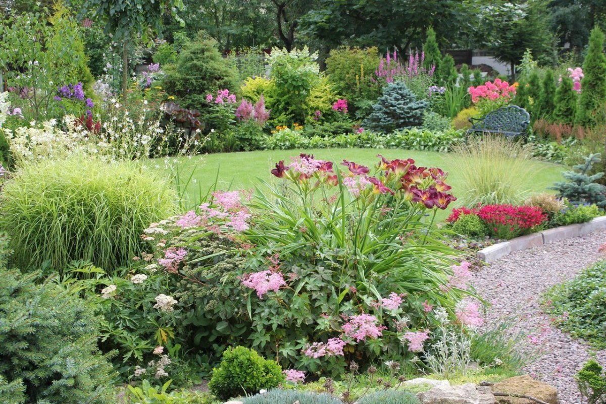 Марковский миксбордер