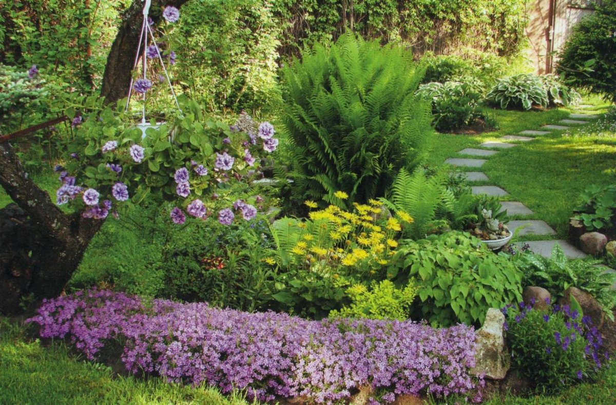 Клумба рабатка рокарий миксбордер