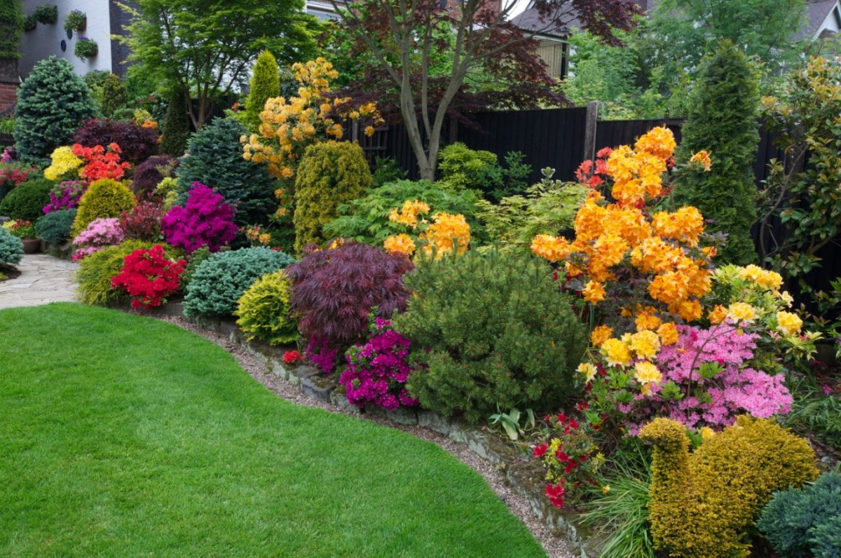 Приствольный миксбордер