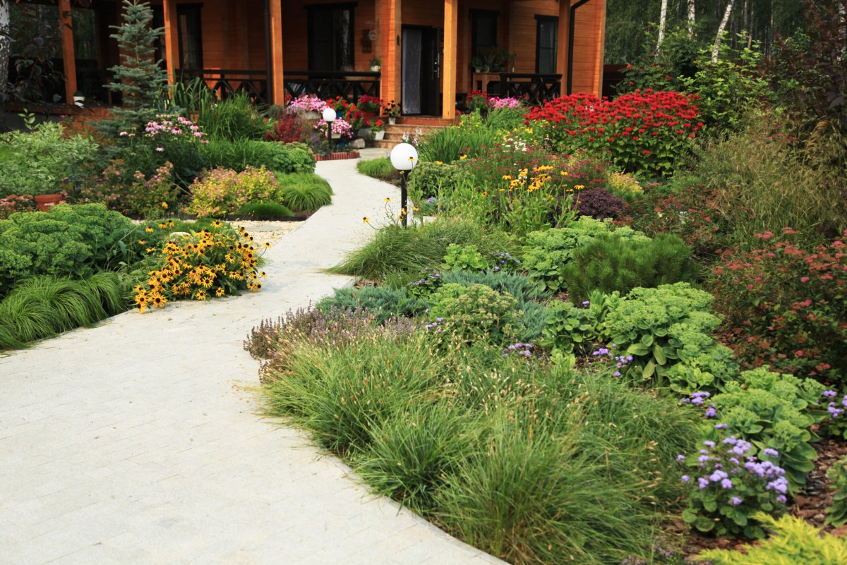 Миксбордер в Лесном стиле