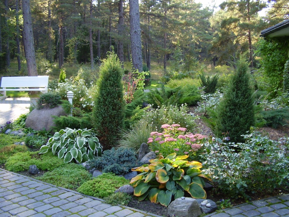 Хвойный миксбордер