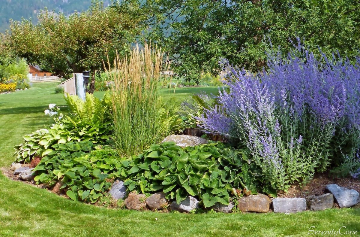 Перевоские лебедовистная