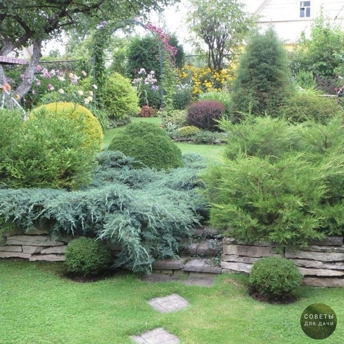 Миксбордер с можжевельником и барбарисом